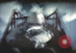 Immagine di Ape su slitta a razzo il test New Mexico United States USA, 1958, secondo 39 filmato di repertorio 65675065061