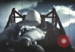 Immagine di Ape su slitta a razzo il test New Mexico United States USA, 1958, secondo 54 filmato di repertorio 65675065061