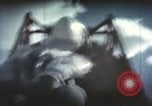 Immagine di Ape su slitta a razzo il test New Mexico United States USA, 1958, secondo 58 filmato di repertorio 65675065061