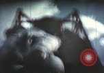 Immagine di Ape su slitta a razzo il test New Mexico United States USA, 1958, secondo 61 filmato di repertorio 65675065061