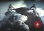 Immagine di Ape su slitta a razzo il test New Mexico United States USA, 1958, secondo 62 filmato di repertorio 65675065061