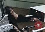 Image of training of chimpanzee New Mexico United States USA, 1960, second 16 stock footage video 65675065062