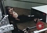 Image of training of chimpanzee New Mexico United States USA, 1960, second 50 stock footage video 65675065062