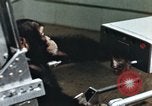 Image of training of chimpanzee New Mexico United States USA, 1960, second 53 stock footage video 65675065062