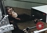 Image of training of chimpanzee New Mexico United States USA, 1960, second 55 stock footage video 65675065062