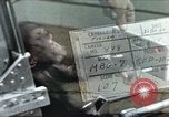 Immagine di Formazione di uno scimpanzé New Mexico United States USA, 1960, secondo 1 filmato di repertorio 65675065063