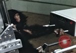 Immagine di Formazione di uno scimpanzé New Mexico United States USA, 1960, secondo 17 filmato di repertorio 65675065063
