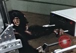 Immagine di Formazione di uno scimpanzé New Mexico United States USA, 1960, secondo 20 filmato di repertorio 65675065063