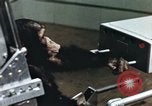 Immagine di Formazione di uno scimpanzé New Mexico United States USA, 1960, secondo 47 filmato di repertorio 65675065063