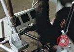 Standbild Ausbildung von Schimpansen New Mexico United States USA, 1960, aus Sekunde 4 historischem Filmmaterial Videoclip 65675065064