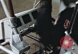 Standbild Ausbildung von Schimpansen New Mexico United States USA, 1960, aus Sekunde 6 historischem Filmmaterial Videoclip 65675065064