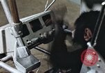 Standbild Ausbildung von Schimpansen New Mexico United States USA, 1960, aus Sekunde 13 historischem Filmmaterial Videoclip 65675065064