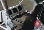 Standbild Ausbildung von Schimpansen New Mexico United States USA, 1960, aus Sekunde 14 historischem Filmmaterial Videoclip 65675065064