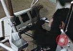 Standbild Ausbildung von Schimpansen New Mexico United States USA, 1960, aus Sekunde 24 historischem Filmmaterial Videoclip 65675065064