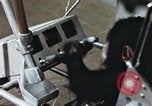Standbild Ausbildung von Schimpansen New Mexico United States USA, 1960, aus Sekunde 25 historischem Filmmaterial Videoclip 65675065064