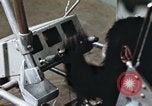 Standbild Ausbildung von Schimpansen New Mexico United States USA, 1960, aus Sekunde 26 historischem Filmmaterial Videoclip 65675065064