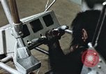 Standbild Ausbildung von Schimpansen New Mexico United States USA, 1960, aus Sekunde 30 historischem Filmmaterial Videoclip 65675065064