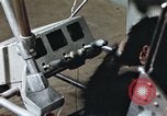 Standbild Ausbildung von Schimpansen New Mexico United States USA, 1960, aus Sekunde 36 historischem Filmmaterial Videoclip 65675065064