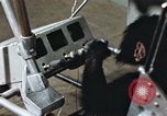 Standbild Ausbildung von Schimpansen New Mexico United States USA, 1960, aus Sekunde 38 historischem Filmmaterial Videoclip 65675065064
