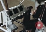 Standbild Ausbildung von Schimpansen New Mexico United States USA, 1960, aus Sekunde 39 historischem Filmmaterial Videoclip 65675065064