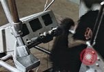 Standbild Ausbildung von Schimpansen New Mexico United States USA, 1960, aus Sekunde 40 historischem Filmmaterial Videoclip 65675065064