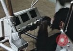 Standbild Ausbildung von Schimpansen New Mexico United States USA, 1960, aus Sekunde 43 historischem Filmmaterial Videoclip 65675065064