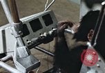 Standbild Ausbildung von Schimpansen New Mexico United States USA, 1960, aus Sekunde 45 historischem Filmmaterial Videoclip 65675065064