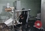 Standbild Ausbildung von Schimpansen New Mexico United States USA, 1960, aus Sekunde 13 historischem Filmmaterial Videoclip 65675065065