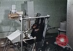 Standbild Ausbildung von Schimpansen New Mexico United States USA, 1960, aus Sekunde 14 historischem Filmmaterial Videoclip 65675065065
