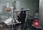 Standbild Ausbildung von Schimpansen New Mexico United States USA, 1960, aus Sekunde 17 historischem Filmmaterial Videoclip 65675065065