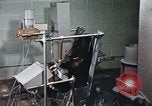 Standbild Ausbildung von Schimpansen New Mexico United States USA, 1960, aus Sekunde 19 historischem Filmmaterial Videoclip 65675065065