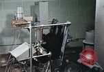 Standbild Ausbildung von Schimpansen New Mexico United States USA, 1960, aus Sekunde 48 historischem Filmmaterial Videoclip 65675065065