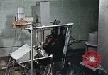 Standbild Ausbildung von Schimpansen New Mexico United States USA, 1960, aus Sekunde 49 historischem Filmmaterial Videoclip 65675065065