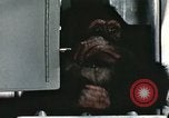 Image la formation du chimpanzé New Mexico United States USA, 1960, de la seconde 45 séquences d'archives historiques vidéo 65675065067