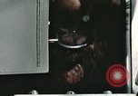 Image la formation du chimpanzé New Mexico United States USA, 1960, de la seconde 51 séquences d'archives historiques vidéo 65675065067
