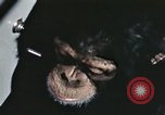 Standbild Ausbildung von Schimpansen New Mexico United States USA, 1960, aus Sekunde 23 historischem Filmmaterial Videoclip 65675065069