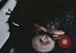 Standbild Ausbildung von Schimpansen New Mexico United States USA, 1960, aus Sekunde 44 historischem Filmmaterial Videoclip 65675065069