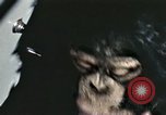 Standbild Ausbildung von Schimpansen New Mexico United States USA, 1960, aus Sekunde 49 historischem Filmmaterial Videoclip 65675065069