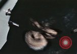 Standbild Ausbildung von Schimpansen New Mexico United States USA, 1960, aus Sekunde 60 historischem Filmmaterial Videoclip 65675065069