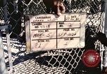 Immagine di Formazione di uno scimpanzé New Mexico United States USA, 1960, secondo 23 filmato di repertorio 65675065070