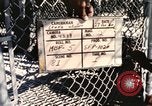 Immagine di Formazione di uno scimpanzé New Mexico United States USA, 1960, secondo 24 filmato di repertorio 65675065070