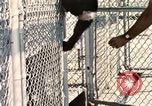 Immagine di Formazione di uno scimpanzé New Mexico United States USA, 1960, secondo 15 filmato di repertorio 65675065071