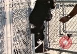 Immagine di Formazione di uno scimpanzé New Mexico United States USA, 1960, secondo 18 filmato di repertorio 65675065071