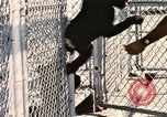 Immagine di Formazione di uno scimpanzé New Mexico United States USA, 1960, secondo 19 filmato di repertorio 65675065071