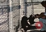 Immagine di Formazione di uno scimpanzé New Mexico United States USA, 1960, secondo 22 filmato di repertorio 65675065071