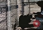 Immagine di Formazione di uno scimpanzé New Mexico United States USA, 1960, secondo 23 filmato di repertorio 65675065071