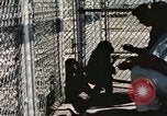 Immagine di Formazione di uno scimpanzé New Mexico United States USA, 1960, secondo 24 filmato di repertorio 65675065071