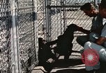Immagine di Formazione di uno scimpanzé New Mexico United States USA, 1960, secondo 25 filmato di repertorio 65675065071