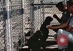 Immagine di Formazione di uno scimpanzé New Mexico United States USA, 1960, secondo 27 filmato di repertorio 65675065071