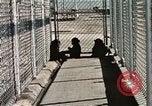 Immagine di Formazione di uno scimpanzé New Mexico United States USA, 1960, secondo 43 filmato di repertorio 65675065071
